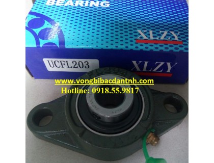 VÒNG BI UCFL203